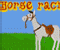 Horse Racin - Jogo de Esporte 