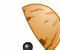 Shell - Jogo de Sorte