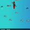 dc8p Fishwater Challenge - Jogo de Esporte