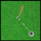 Amazing Golf - Jogo de Esporte 