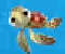 Crusin With Crush - Jogo de Aventura