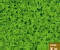 Four Leaf Clover - Jogo de Puzzle