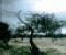 Before The Storm - Jogo de Puzzle