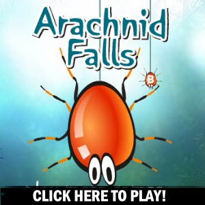 Arachnid Falls - Jogo de Ação